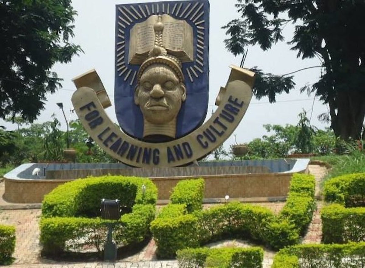 Academic Stardom: OAU Lecturer Achieves Professorship At 39.