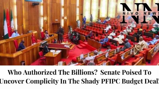 Who Authorized The Billions? Senate Poised To Uncover Complicity In The Shady PFIPC Budget Deal!.
